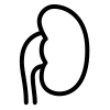 icons8-kidney-100